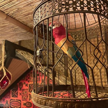 The Kondo Tiki Tampa Eksteriør bilde