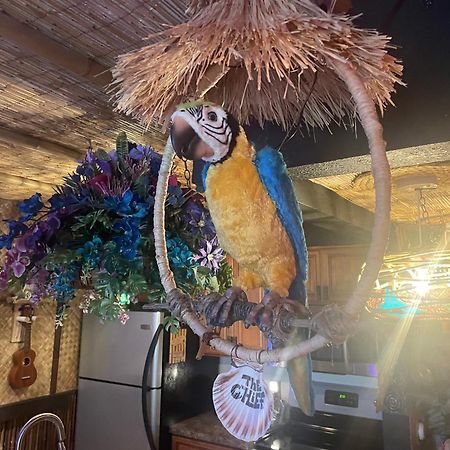 The Kondo Tiki Tampa Eksteriør bilde